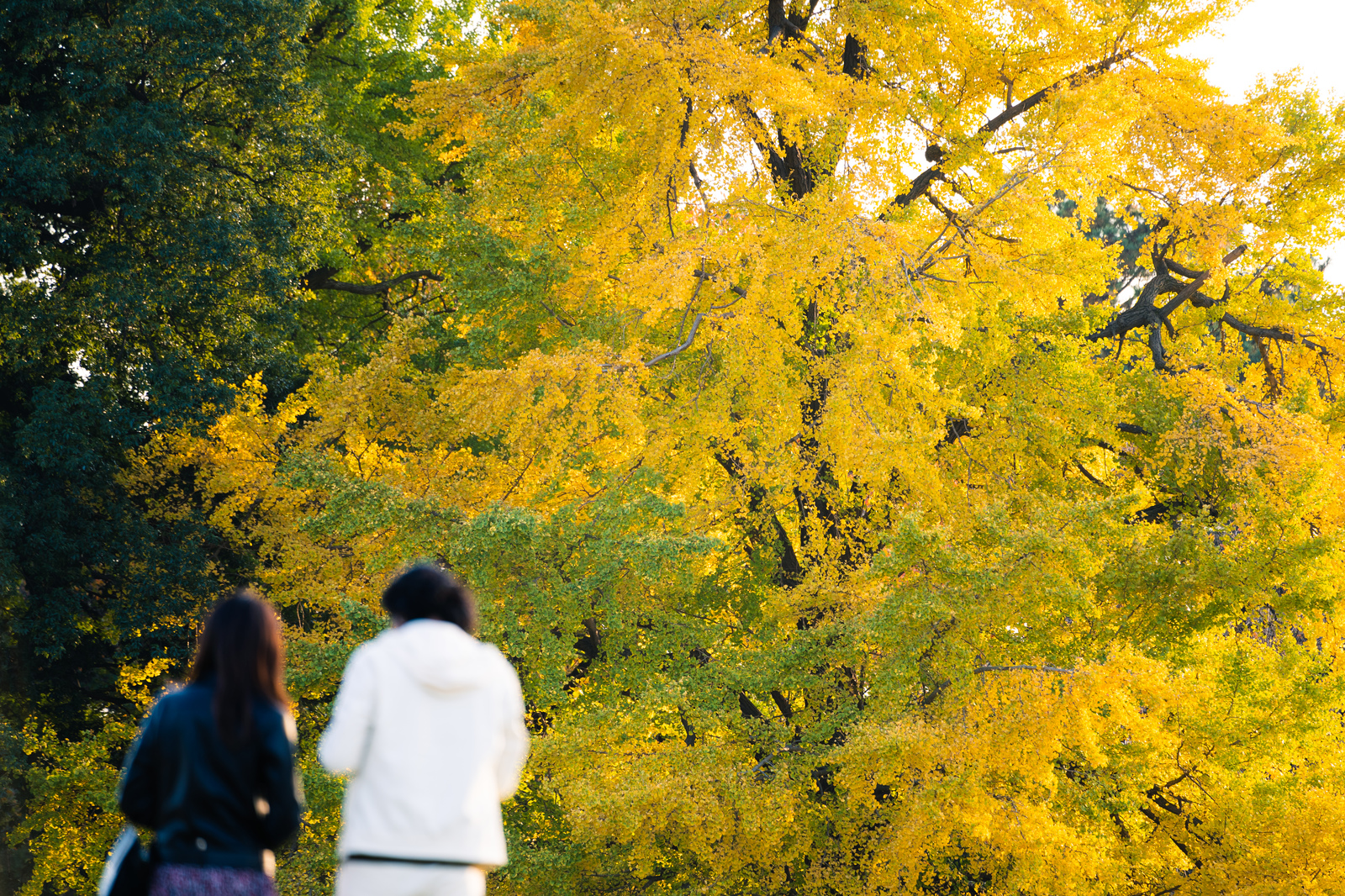 夫婦は互いを尊重することが大事